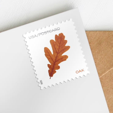 Postcard Rate Stamps 2025 Autumn Leaves – Nature Series, First-Class Rate