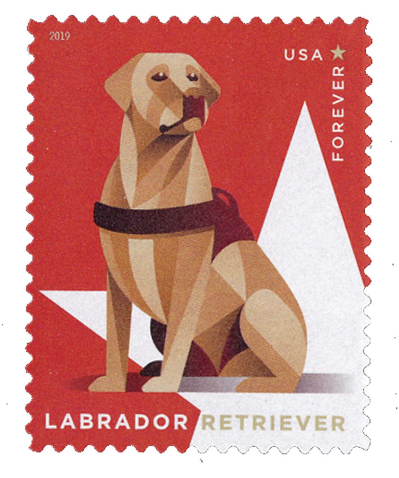 Forever Stamps 2019 Labrador Retriever – Honor & Service, First-Class Postage