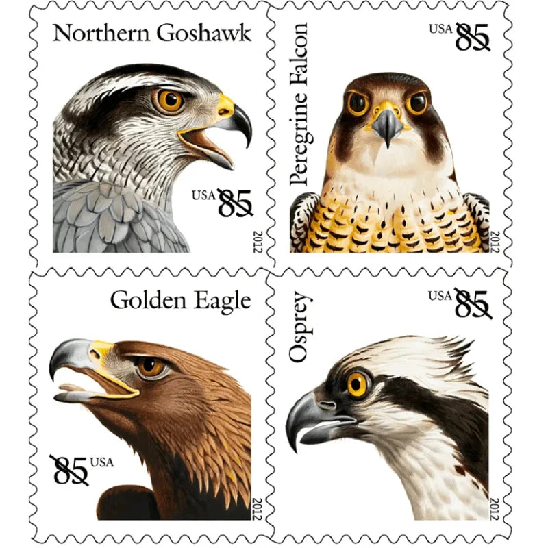 NOT Forever Stamp-First Class Stamps 2012 Osprey – Nature Series, 85¢ Postage