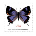 NOT Forever Stamp-$1.29 Stamps 2021 Colorado Hairstreak Butterfly – Non-Machinable Surcharge, First-Class Rate