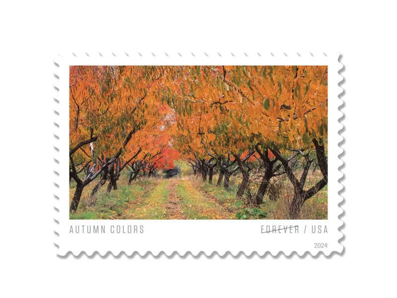 Forever Stamps 2024 Autumn Colors – Seasonal Celebration, First-Class Postage