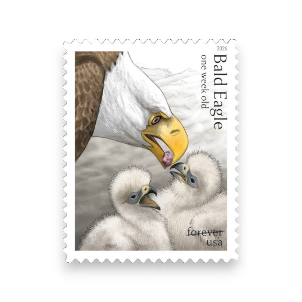 Forever Stamps 2026 Bald Eagle: Hatchling to Adult – Nature Series, First-Class Postage