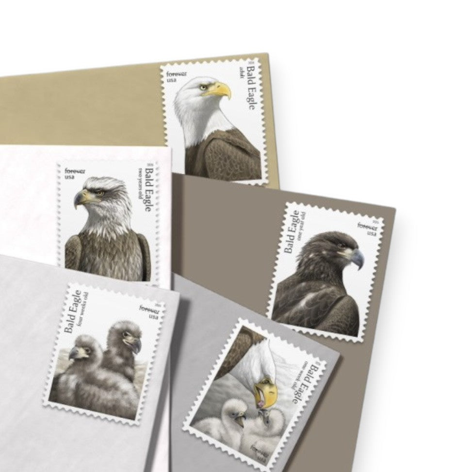 Forever Stamps 2026 Bald Eagle: Hatchling to Adult – Nature Series, First-Class Postage