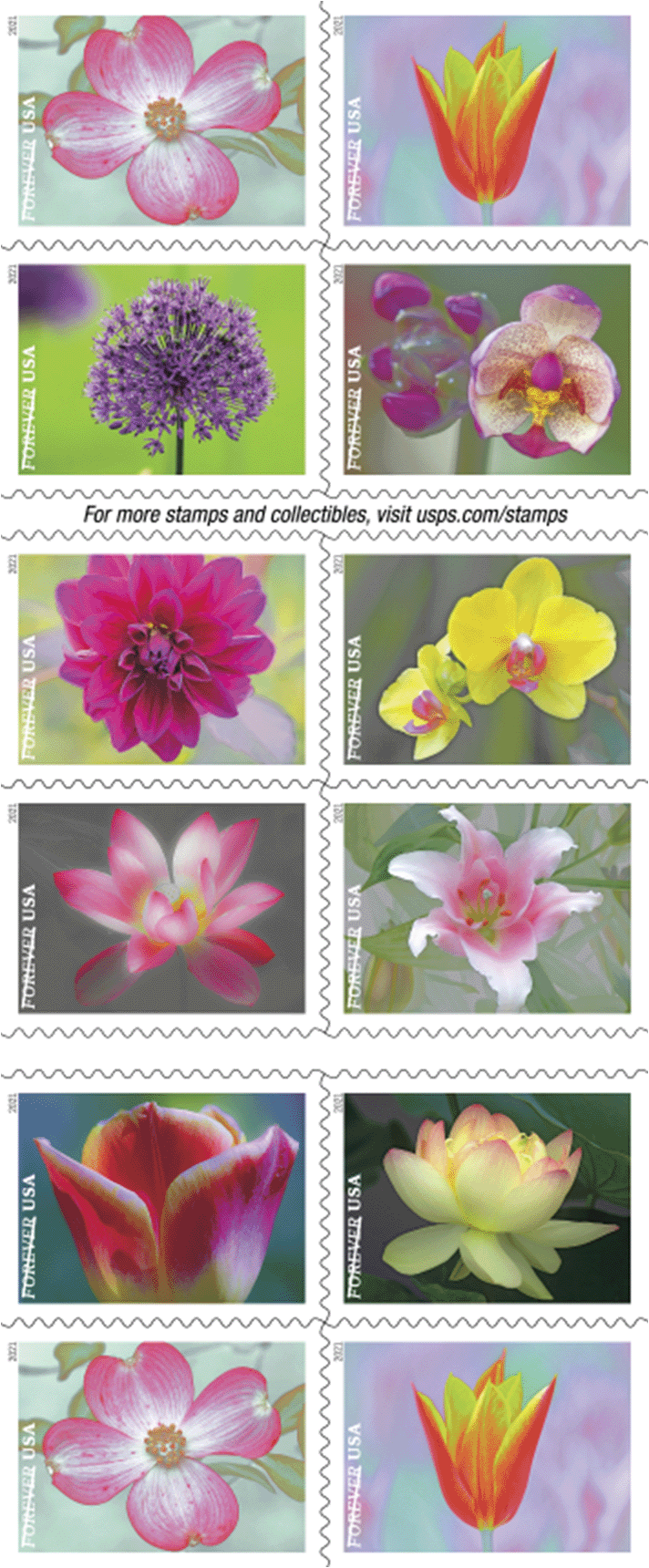 Forever Stamps 2021 Garden Beauty – Nature Series, First-Class Postage