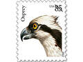 NOT Forever Stamp-First Class Stamps 2012 Osprey – Nature Series, 85¢ Postage