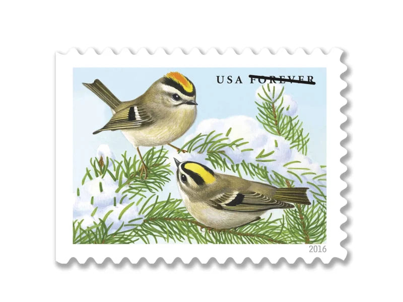 Forever Stamps 2016 Songbirds in Snow – Seasonal Wildlife, First-Class Postage