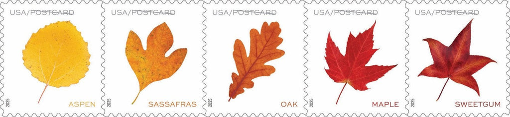 Postcard Rate Stamps 2025 Autumn Leaves – Nature Series, First-Class Rate